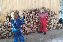 Kinder holen Holz im Waldkindergarten Fridolfing